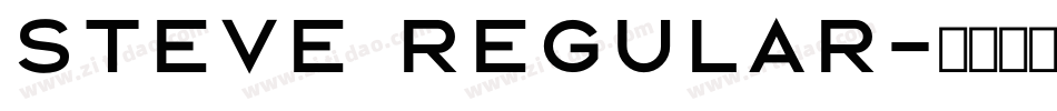 Steve Regular字体转换